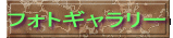 tHgM[